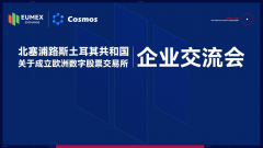 北塞浦路斯土耳其共和国关于成立欧洲数字股票交易所企业交流会